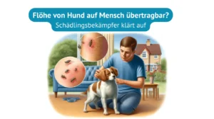 Flöhe von Hund auf Mensch