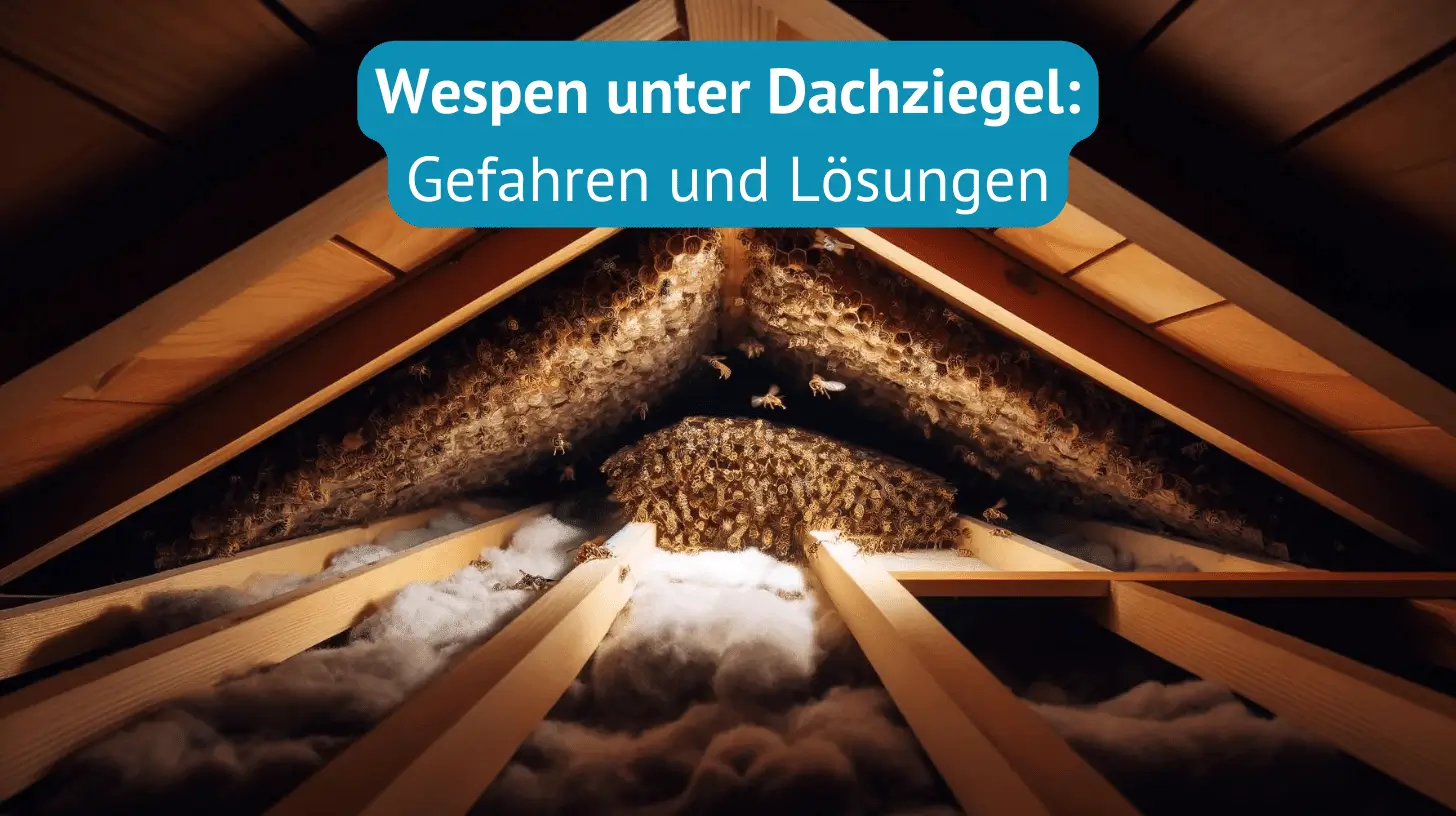 Wespen unter Dachziegel Titelbild