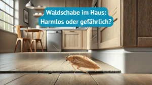 Waldschabe im Haus