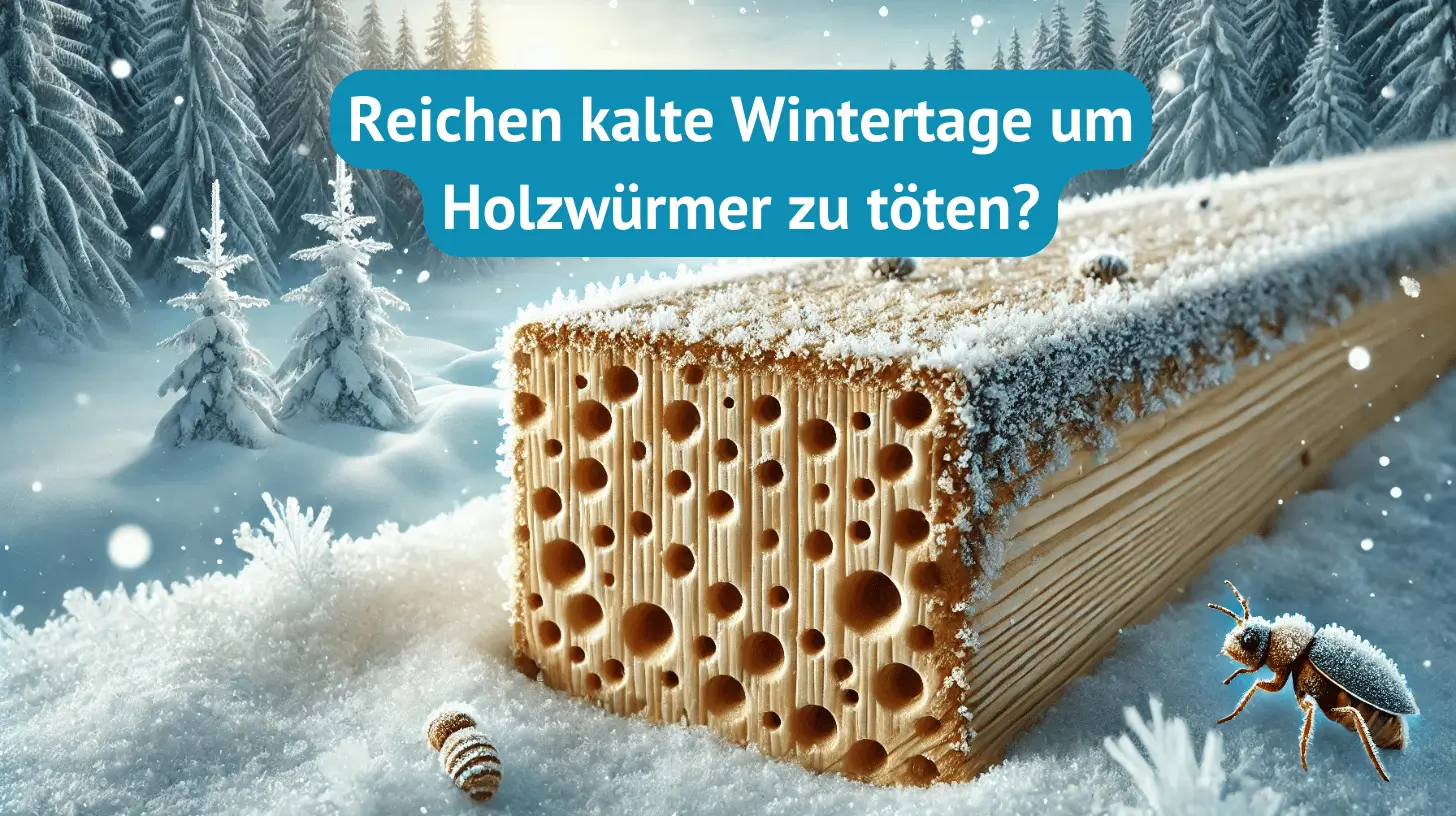 Holzwurm Frost